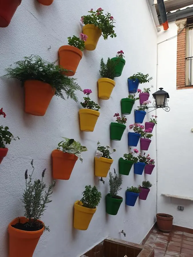 Arc House Cordoba Only Adults Hotel