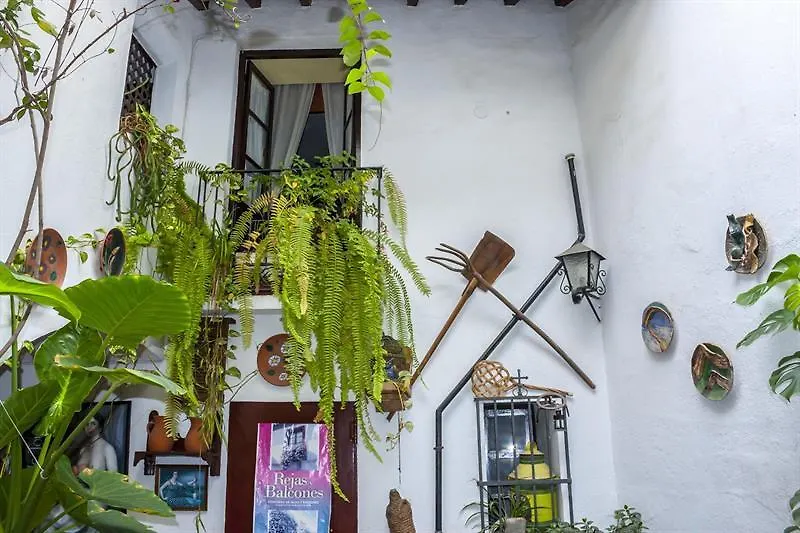 Arc House Cordoba Only Adults Hotel