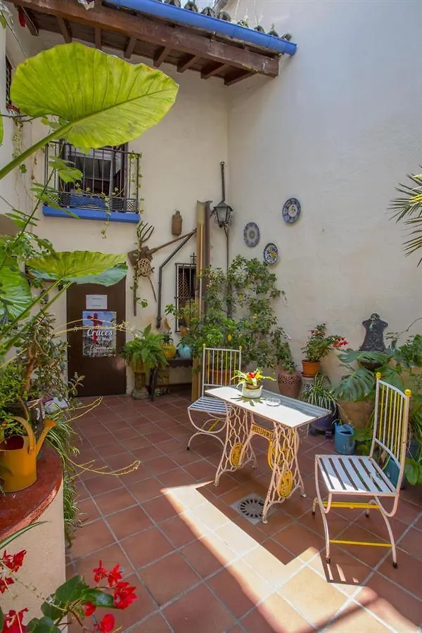 Guest house Arc House Cordoba Only Adults Hotel Spain